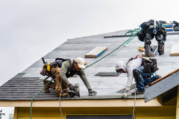 Professional Storm Damage Roof Repair technician working in Woodhaven, MI